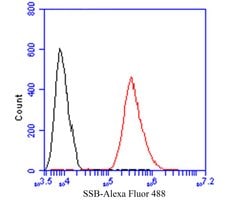 Thermo Scientific SSB Polyclonal Antibody:Antibodies, Polyclonal