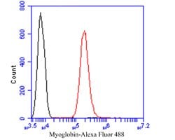 Invitrogen Myoglobin Polyclonal Antibody 100 μL; Unconjugated:Antibodies,