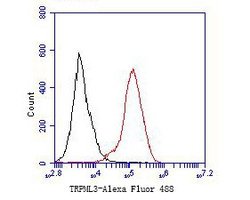 Invitrogen TRPML3 Polyclonal Antibody 100 &mu;L; Unconjugated:Antibodies,