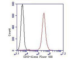 Invitrogen CD43 Polyclonal Antibody 100 &mu;L; Unconjugated:Antikörper
