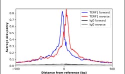 Invitrogen TRF1 Polyclonal Antibody 100 &mu;L | Buy Online | Invitrogen&trade; | Fisher Scientific