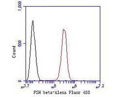 Invitrogen Follicle Stimulating Hormone Polyclonal Antibody 100 &mu;L;