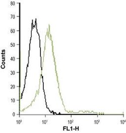 CXCR2 (extracellular) Polyclonal Antibody, Invitrogen 50 &mu;L; Unconjugated:Antibodies,