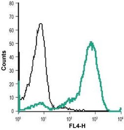 RET (extracellular) Polyclonal Antibody, Invitrogen 50 &mu;L; Unconjugated:Antibodies,