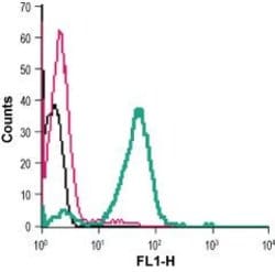 CD294 (CRTH2) (extracellular) Polyclonal Antibody, Invitrogen 50 &mu;L;