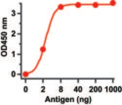 Invitrogen SARS/SARS-CoV-2 Spike Protein (S1/S2) Polyclonal Antibody 100