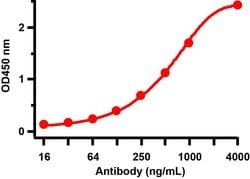 Invitrogen SARS/SARS-CoV-2 Spike Protein (S1/S2) Polyclonal Antibody 100