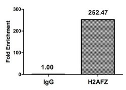 Invitrogen H2A.ZK11ac Polyclonal Antibody 100 μL; Unconjugated:Antibodies,