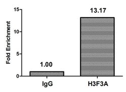 Invitrogen H3.3K79me2 Polyclonal Antibody 100 μL; Unconjugated:Antibodies,