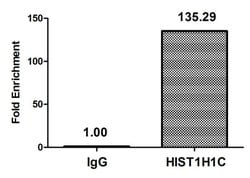Invitrogen Di-Methyl-Histone H1.2 (Lys45) Polyclonal Antibody 100 &mu;L;