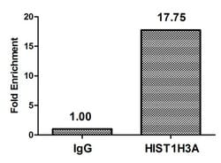 Phospho-Histone H3 (Thr3) Polyclonal Antibody:Antibodies, Polyclonal