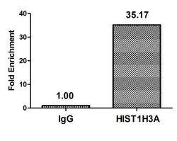Invitrogen H3K4cr Polyclonal Antibody 100 μL; Unconjugated:Antibodies,