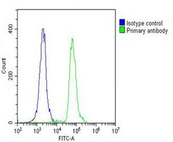 Invitrogen MDM2 Polyclonal Antibody 400 &mu;L; Unconjugated:Antibodies,