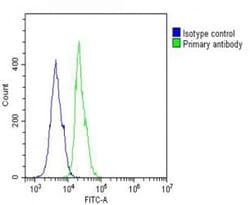 Invitrogen MCL-1 Polyclonal Antibody 400 &mu;L; Unconjugated:Antibodies,