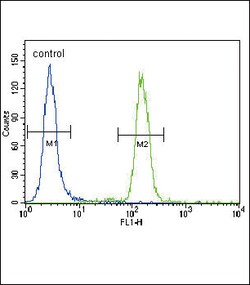 Invitrogen PUMA alpha Polyclonal Antibody 400 &mu;L; Unconjugated:Antibodies,