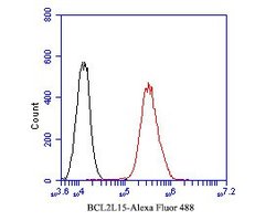 Invitrogen BCL2L15 Polyclonal Antibody 100 &mu;L; Unconjugated:Antibodies,