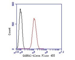 Invitrogen GABRA1 Polyclonal Antibody 100 &mu;L; Unconjugated:Antibodies,