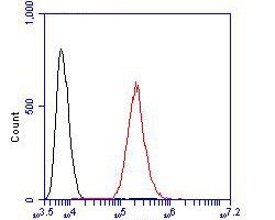 Invitrogen IL8 Polyclonal Antibody 100 &mu;L; Unconjugated:Antibodies,