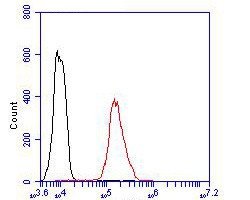 Invitrogen Desmoglein 3 Polyclonal Antibody 100 &mu;L; Unconjugated:Antibodies,