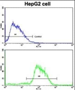 Invitrogen CDH4 Polyclonal Antibody 400 &mu;L | Buy Online | Invitrogen&trade; | Fisher Scientific