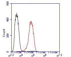 Invitrogen SLC8B1 Polyclonal Antibody 100 &mu;L | Buy Online | Invitrogen&trade; | Fisher Scientific