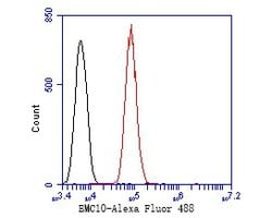 Invitrogen C19orf63 Polyclonal Antibody 100 &mu;L | Buy Online | Invitrogen&trade; | Fisher Scientific