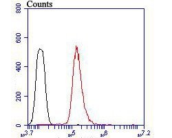 Invitrogen SDF1 Polyclonal Antibody 100 &mu;L; Unconjugated:Antibodies,