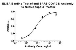 Invitrogen SARS-CoV-2 Nucleocapsid Polyclonal Antibody 100 &mu;L | Buy Online | Invitrogen&trade; | Fisher Scientific