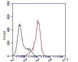 Invitrogen KCNN2 Polyclonal Antibody 100 &mu;L; Unconjugated:Antibodies,