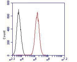 Invitrogen USP29 Polyclonal Antibody 100 &mu;L; Unconjugated:Antibodies,