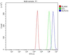 Invitrogen NUP214 Polyclonal Antibody 100 &mu;g; Unconjugated:Antibodies,