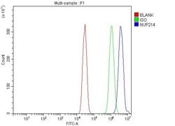 Invitrogen NUP214 Polyclonal Antibody 100 &mu;g; Unconjugated:Antibodies,