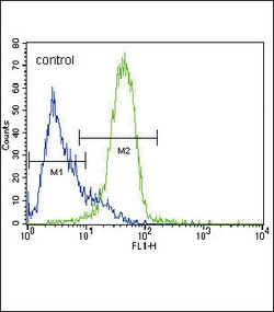 Invitrogen GATA4 Polyclonal Antibody 400 &mu;L; Unconjugated:Antibodies,