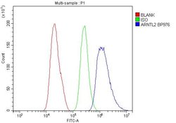 Invitrogen CLIF Polyclonal Antibody 100 &mu;g; Unconjugated:Antibodies,