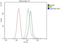 Invitrogen ALDH18A1 Polyclonal Antibody 100 &mu;g; Unconjugated:Antibodies,