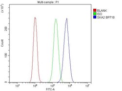 Invitrogen SKA2 Polyclonal Antibody 100 μg; Unconjugated:Antibodies,