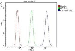 Invitrogen ATP5G1/2/3 Polyclonal Antibody 100 &mu;g; Unconjugated:Antibodies,