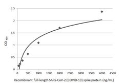 Invitrogen SARS-CoV-2 Spike Protein S1 Polyclonal Antibody 100 &mu;L | Buy Online | Invitrogen&trade; | Fisher Scientific
