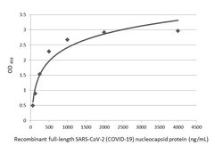 SARS-CoV-2 Nucleocapsid Polyclonal Antibody, Invitrogen 100 &mu;L; Unconjugated:Antibodies,