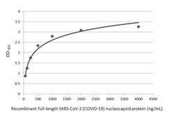 SARS-CoV-2 Nucleocapsid Polyclonal Antibody, Invitrogen 100 &mu;L; Unconjugated:Antibodies,