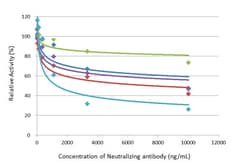 Invitrogen SARS-CoV-2 Spike Protein (RBD) Polyclonal Antibody 100 &mu;L;