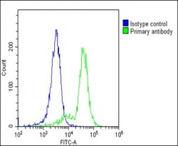 Invitrogen CD3z Polyclonal Antibody 400 μL; Unconjugated:Antibodies,