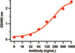 Invitrogen SARS-CoV-2 Spike Protein (RBD) Polyclonal Antibody 100 &mu;g;
