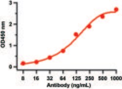 Invitrogen SARS-CoV-2 Spike Protein (RBD) Polyclonal Antibody 100 &mu;g;