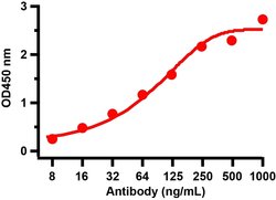 Invitrogen SARS-CoV-2 Spike Protein S2 Polyclonal Antibody 100 &mu;g; Unconjugated:Antibodies,