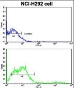 Invitrogen CD8 alpha Polyclonal Antibody 400 &mu;L; Unconjugated:Antibodies,