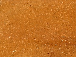 Phospho-Tau (Ser579) Polyclonal Antibody:Antibodies, Polyclonal