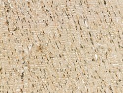 Invitrogen CENPB Polyclonal Antibody 100 &mu;L; Unconjugated:Antibodies,