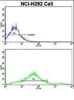 Invitrogen CDH7 Polyclonal Antibody 400 &mu;L; Unconjugated:Antibodies,