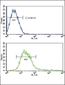 Invitrogen ADAM17 Polyclonal Antibody 400 &mu;L; Unconjugated:Antibodies,